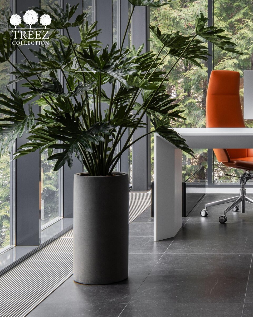 Кашпо и растения Treez Collection