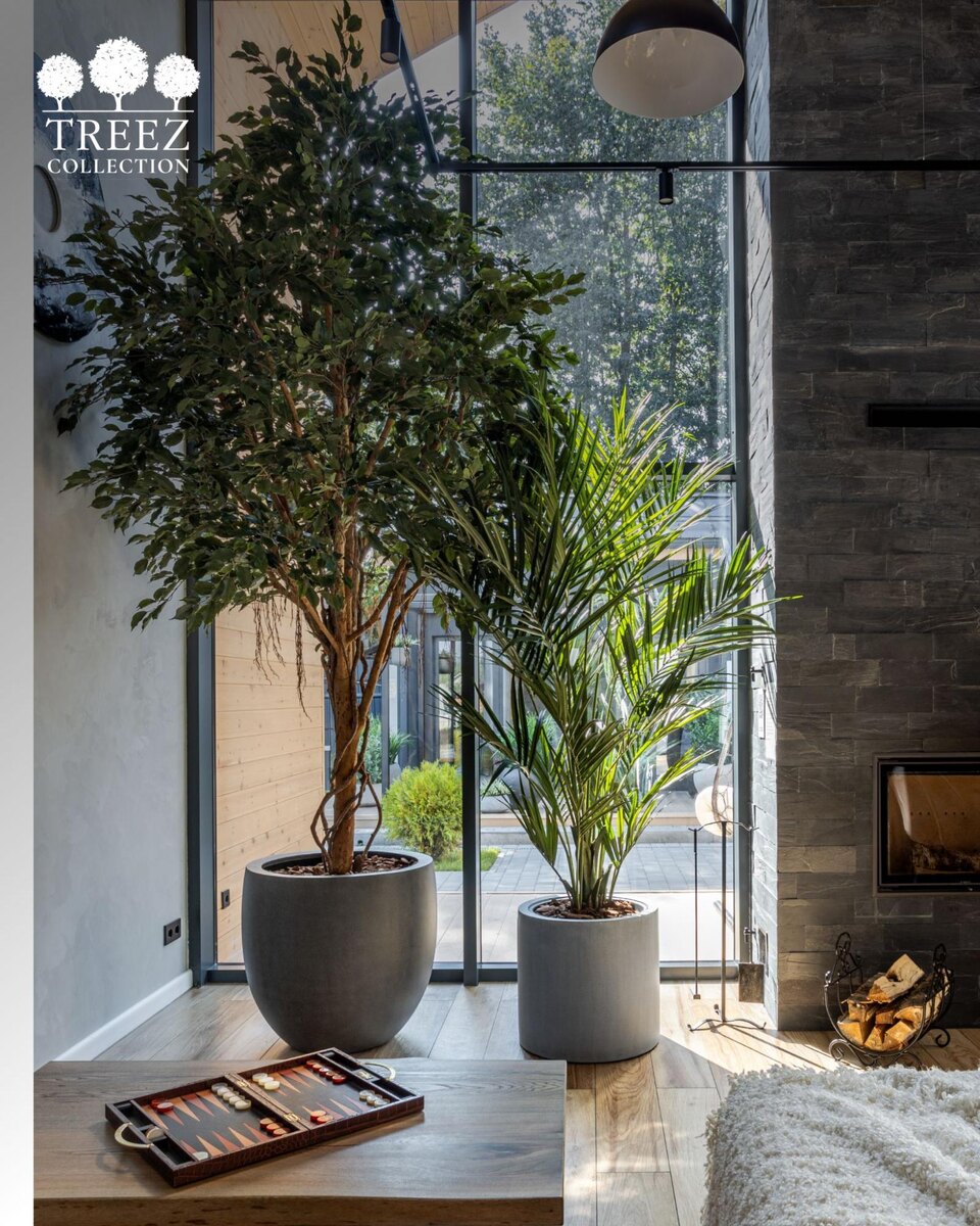Кашпо и растения Treez Collection