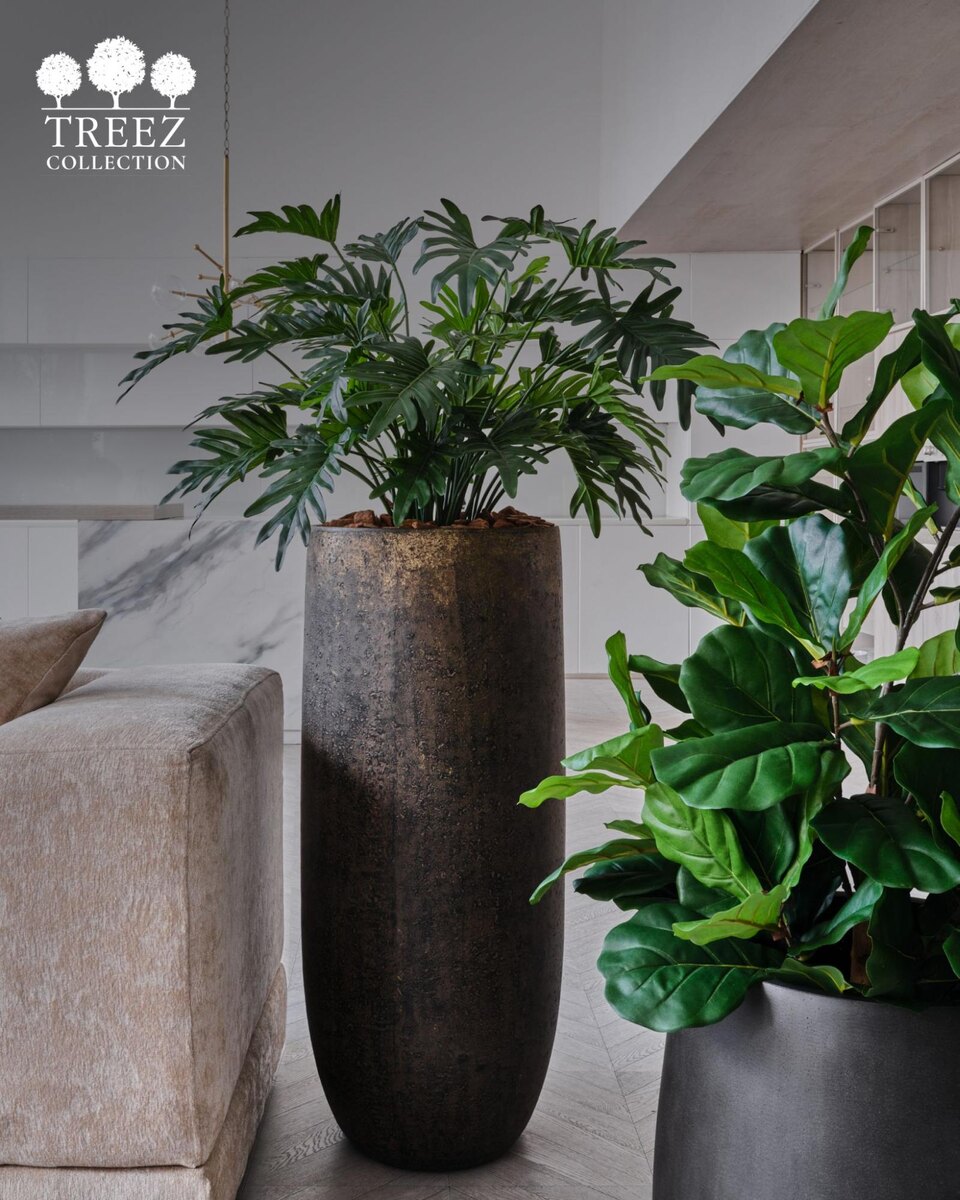 Кашпо и растения Treez Collection