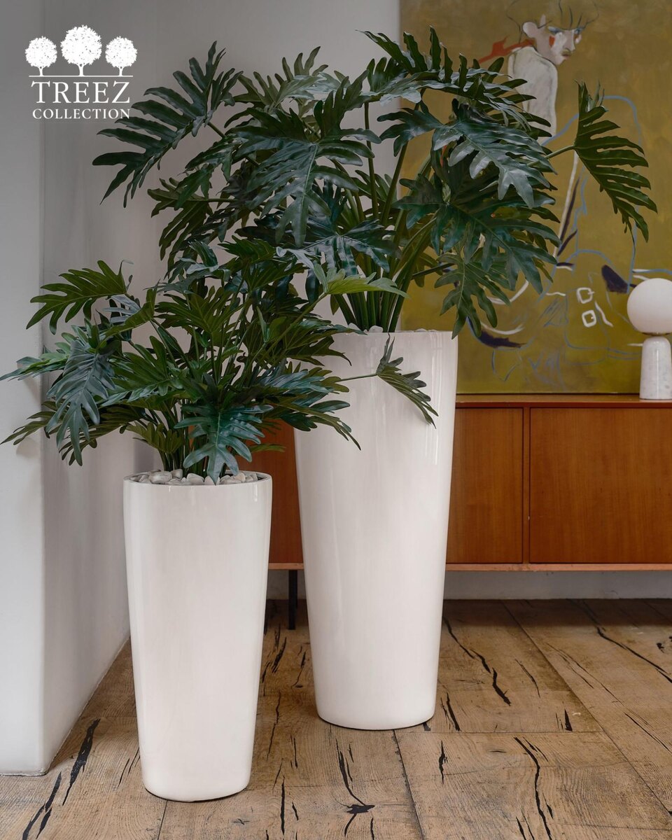 Кашпо и растения Treez Collection
