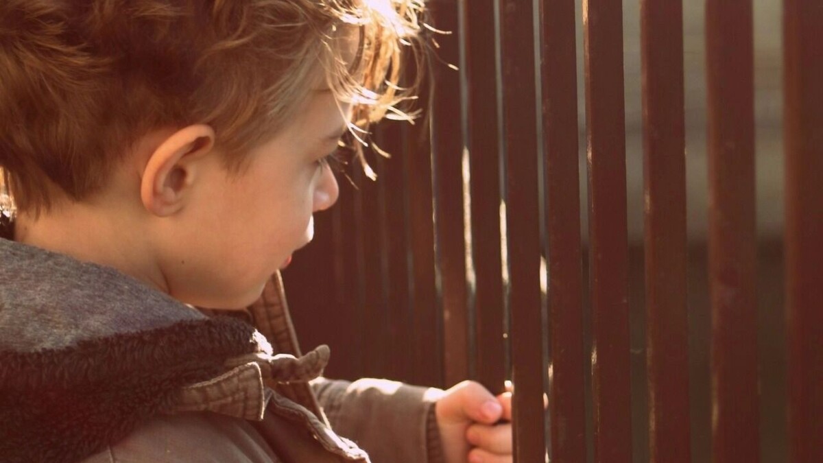     Автор: Unsplash