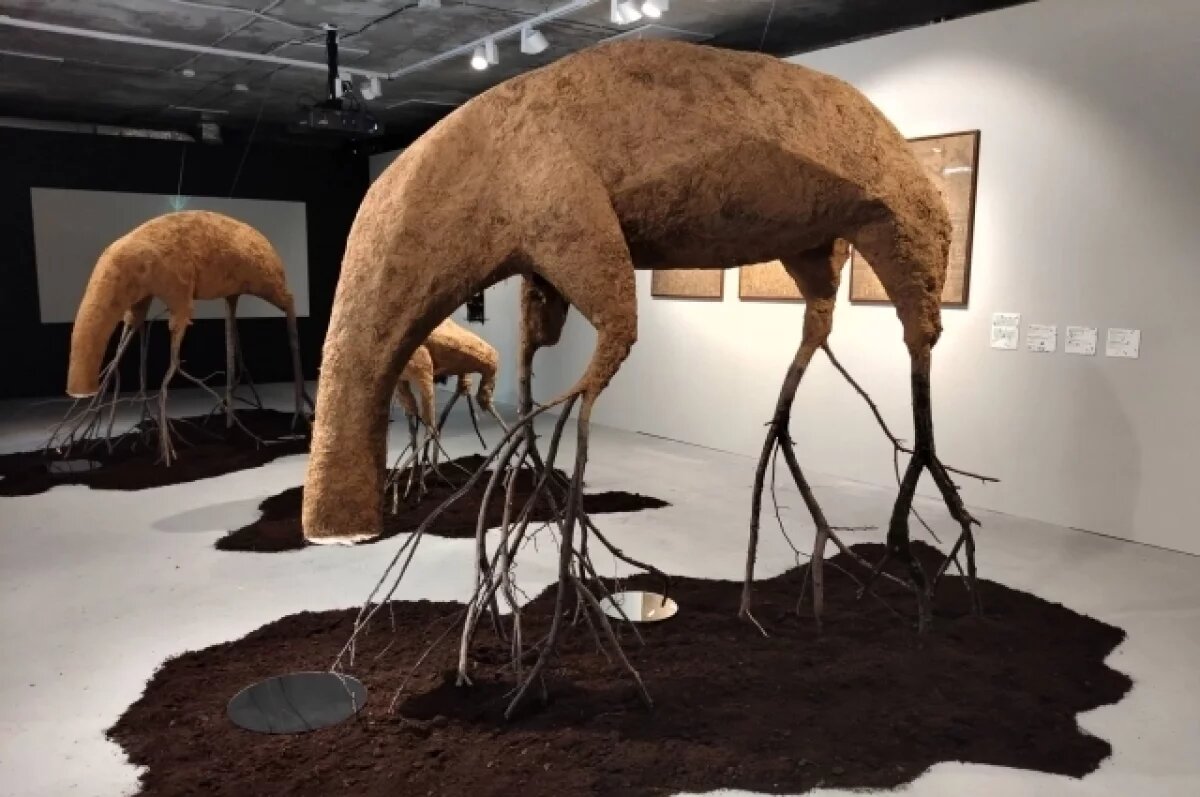    Нижегородцы смогут увидеть «Кожу земли»