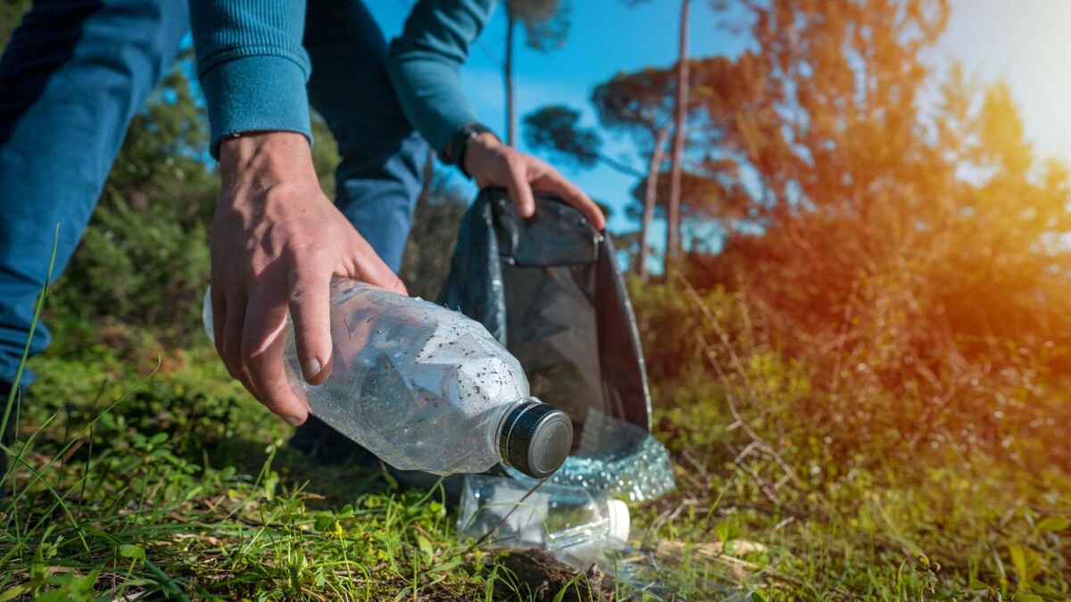    Фото: Creative Cat Studio/Shutterstock/Fotodom