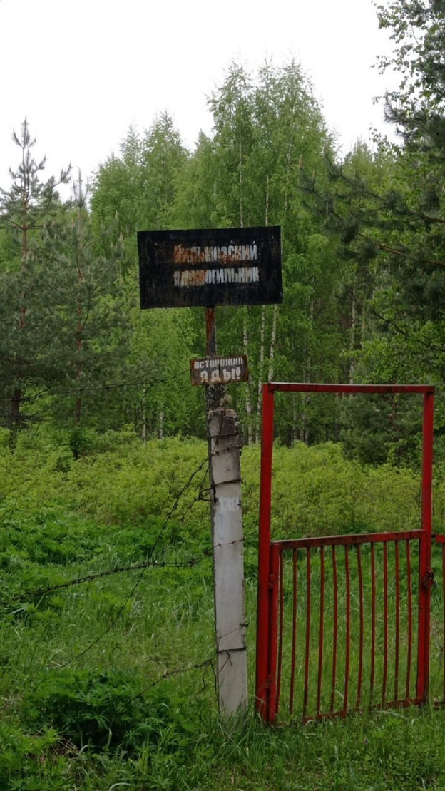    Эксперты проверили опасный ядомогильник в Кировской области