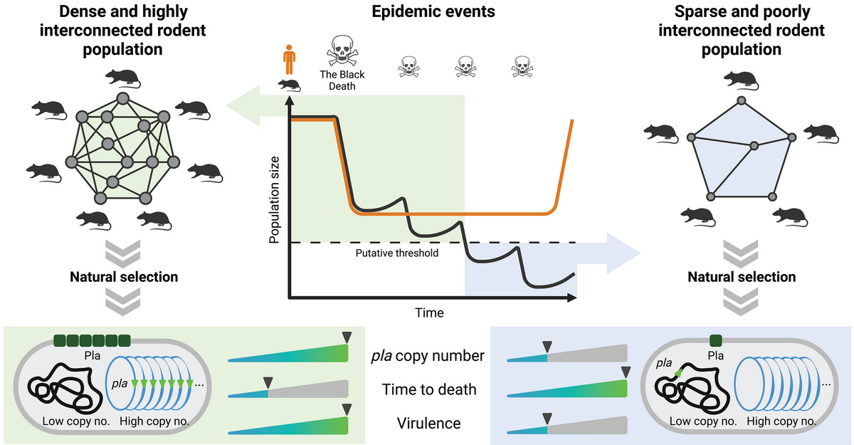   Ravneet Kaur Sidhu et al. / Science, 2025