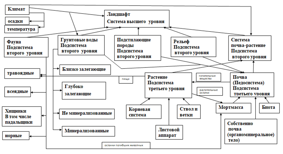 Рис.1. Схема систем и подсистем ландшафта в иерархии различных уровней и их взаимосвязей