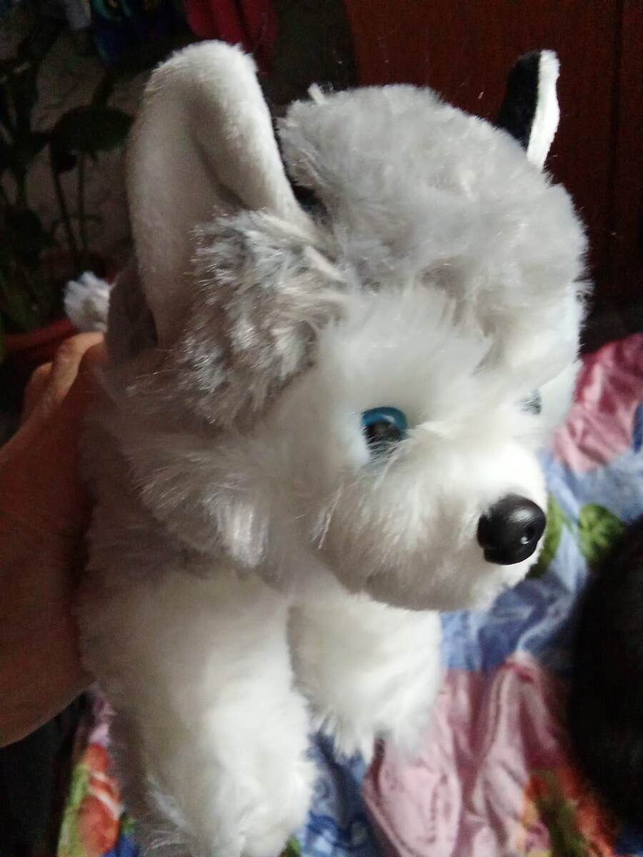 Вот он такой милашка! 