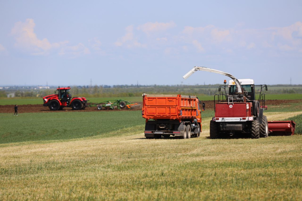 Фото: Михаил Гладчук