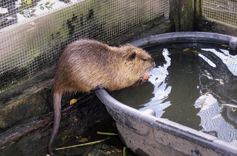 Ванной тут не обойтись! 🌊 
