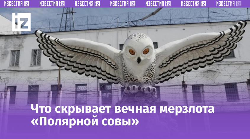 Что ждет самых опасных преступников в ИК-18 «Полярная сова»: где находится, кто в ней сидит