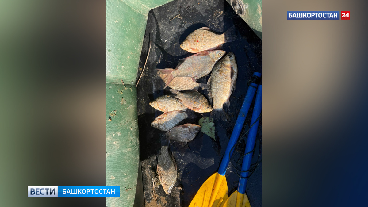    В Уфе транспортная полиция пресекла незаконную добычу рыбы в период нереста