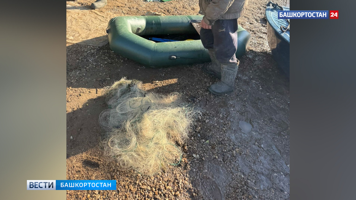    В Уфе транспортная полиция пресекла незаконную добычу рыбы в период нереста