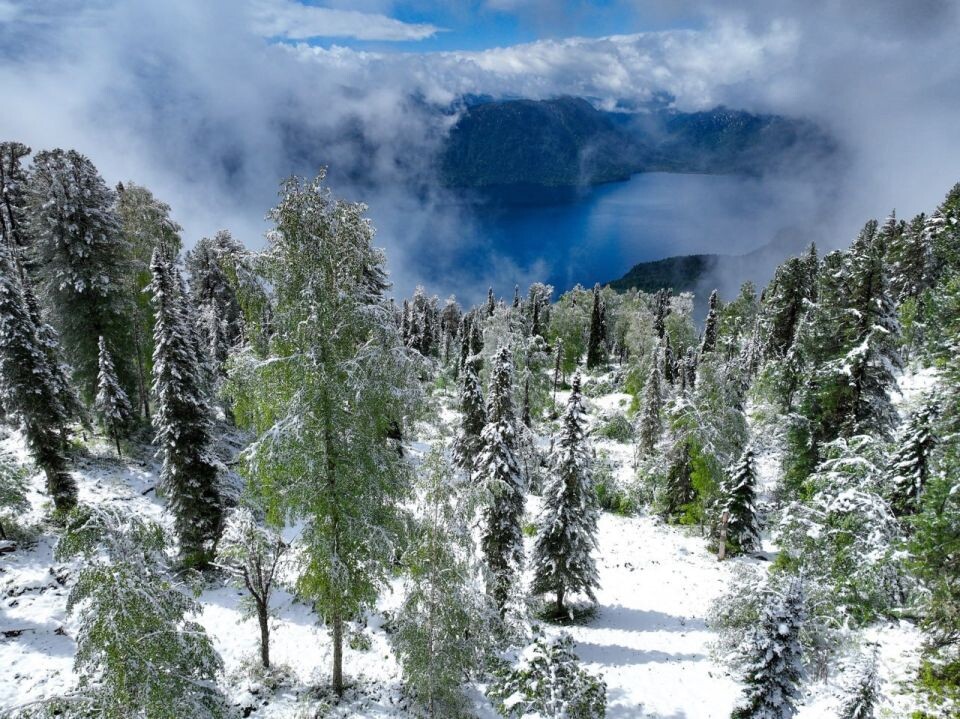    Снег в Алтайском заповеднике. Источник: t.me/altzap/Роман Воробьев и Татьяна Клименко
