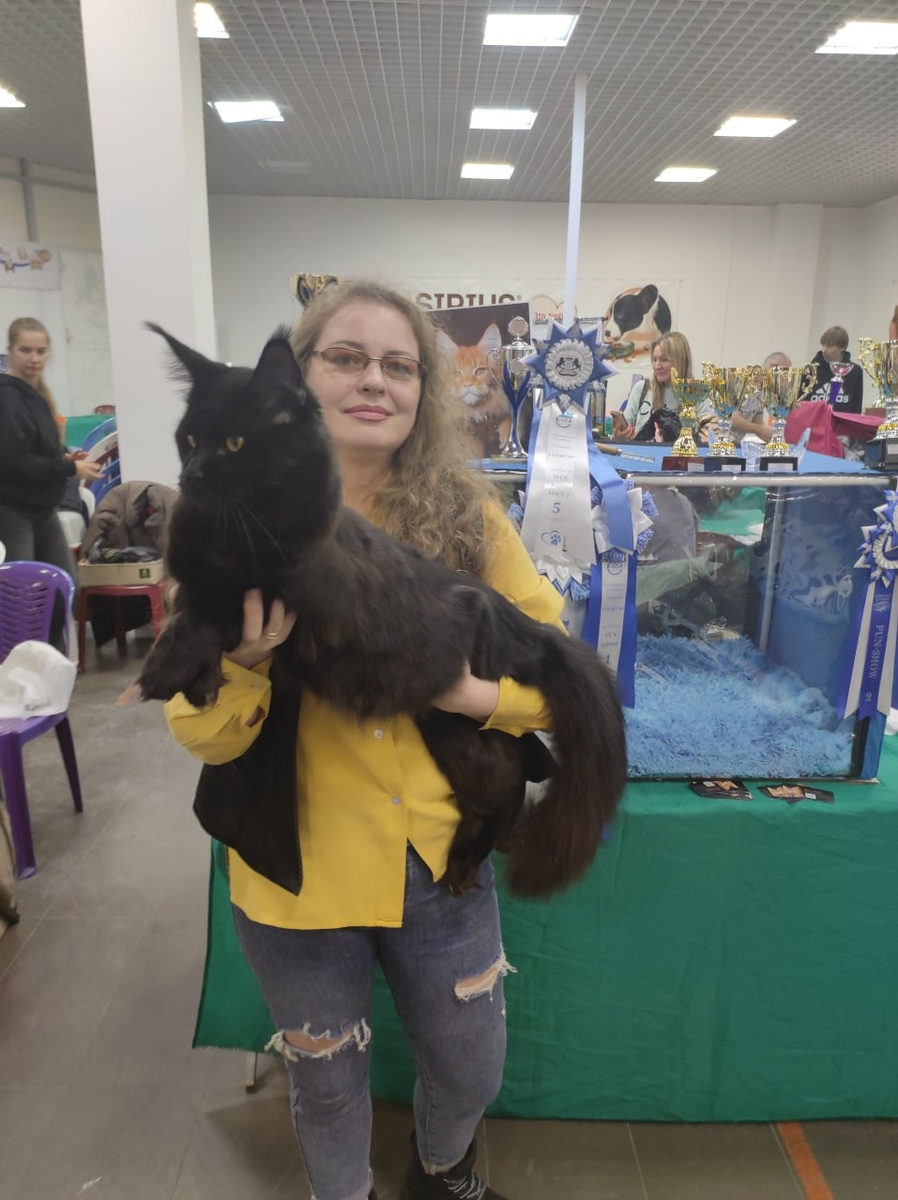 Наш производитель Артас и я