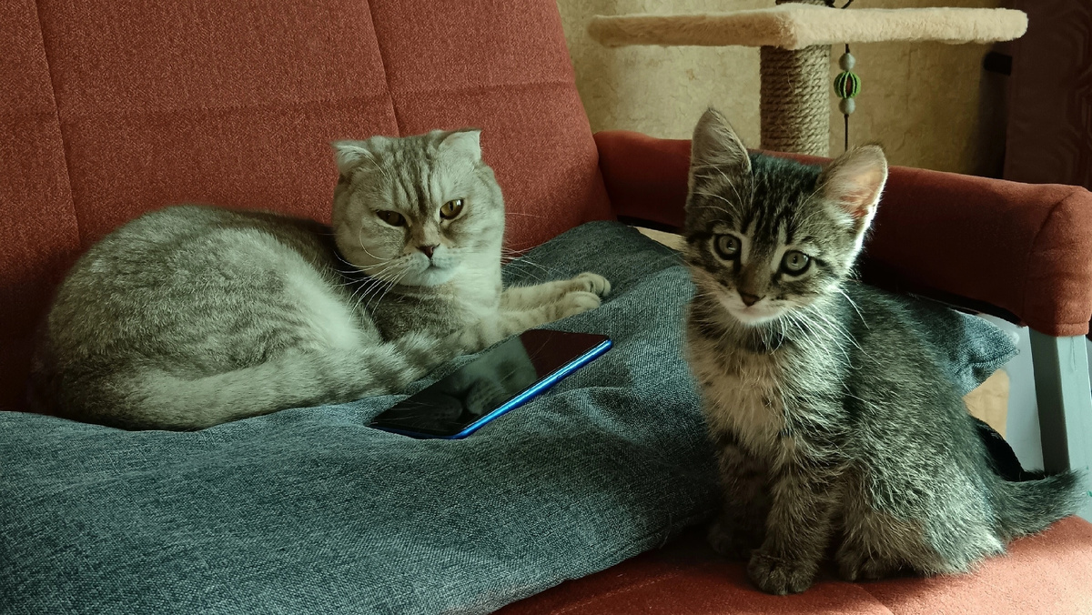 Таким он был ровно год назад)