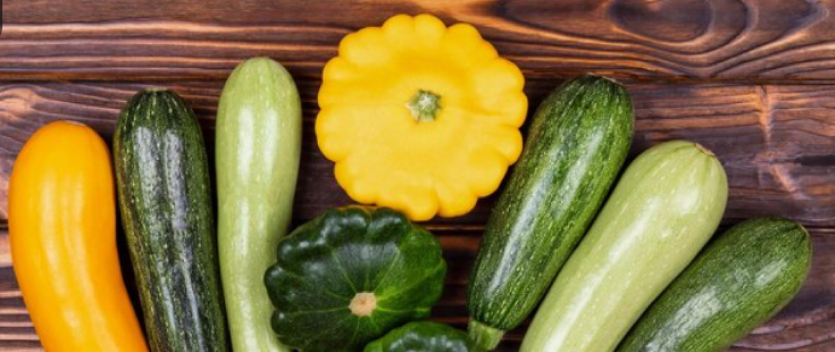 Кабачок и патиссон. Кабачки в открытый грунт