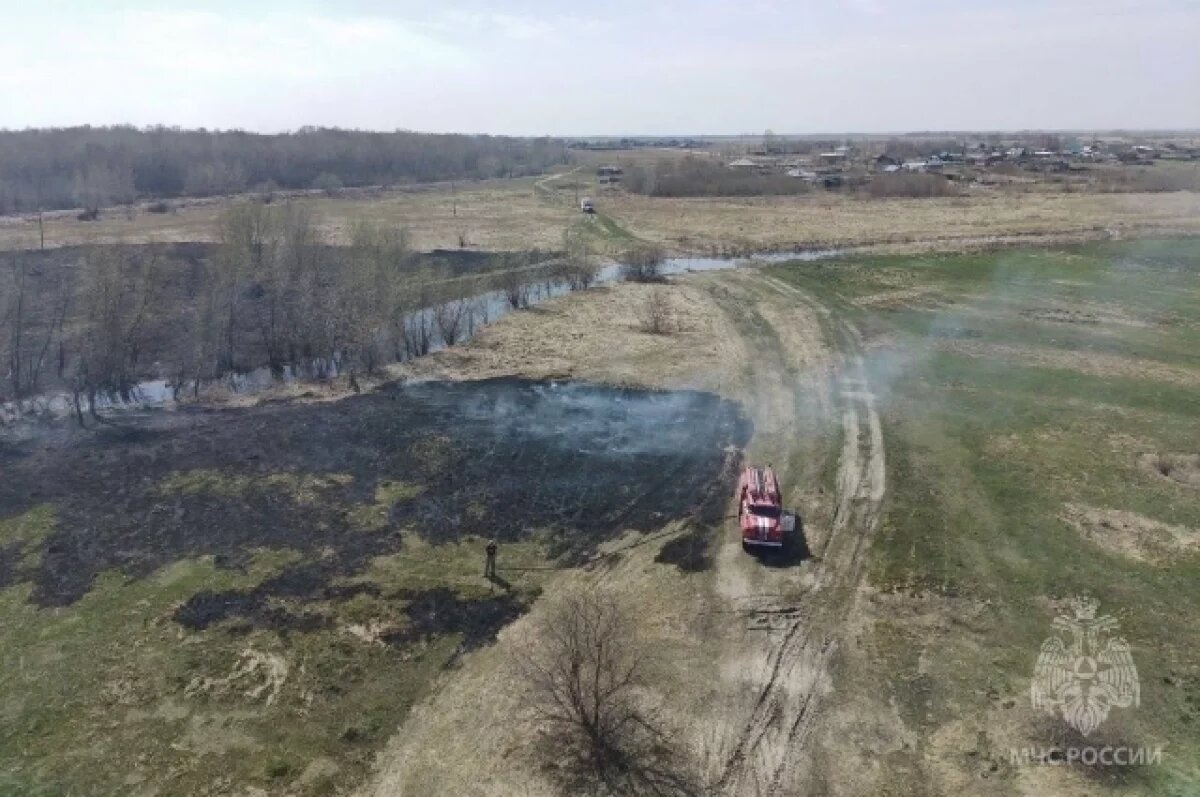    Высокая пожароопасность сохраняется в Алтайском крае