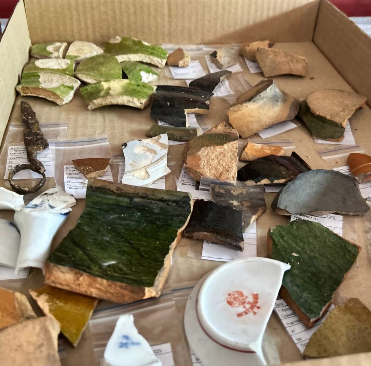    Фото: Владислав Логинов / Telegram