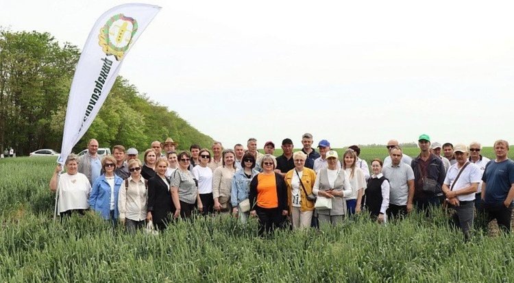    Специалисты агрохимпрома Китая участвовали в семинаре по защите озимой пшеницы в Новоалександровском районе Ставропольского края