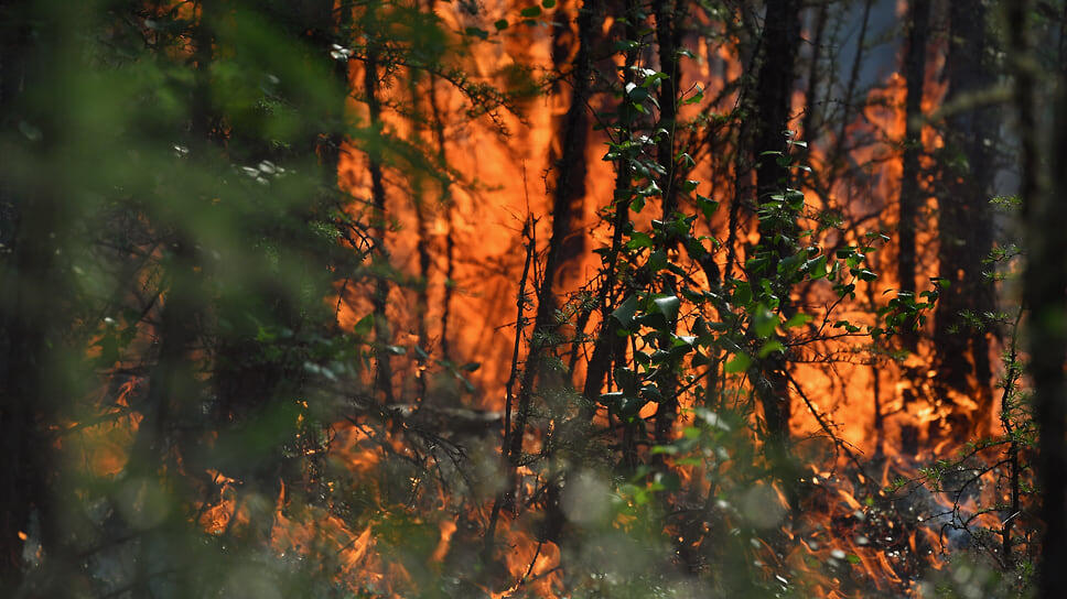 Фото: Александр Миридонов / Коммерсантъ