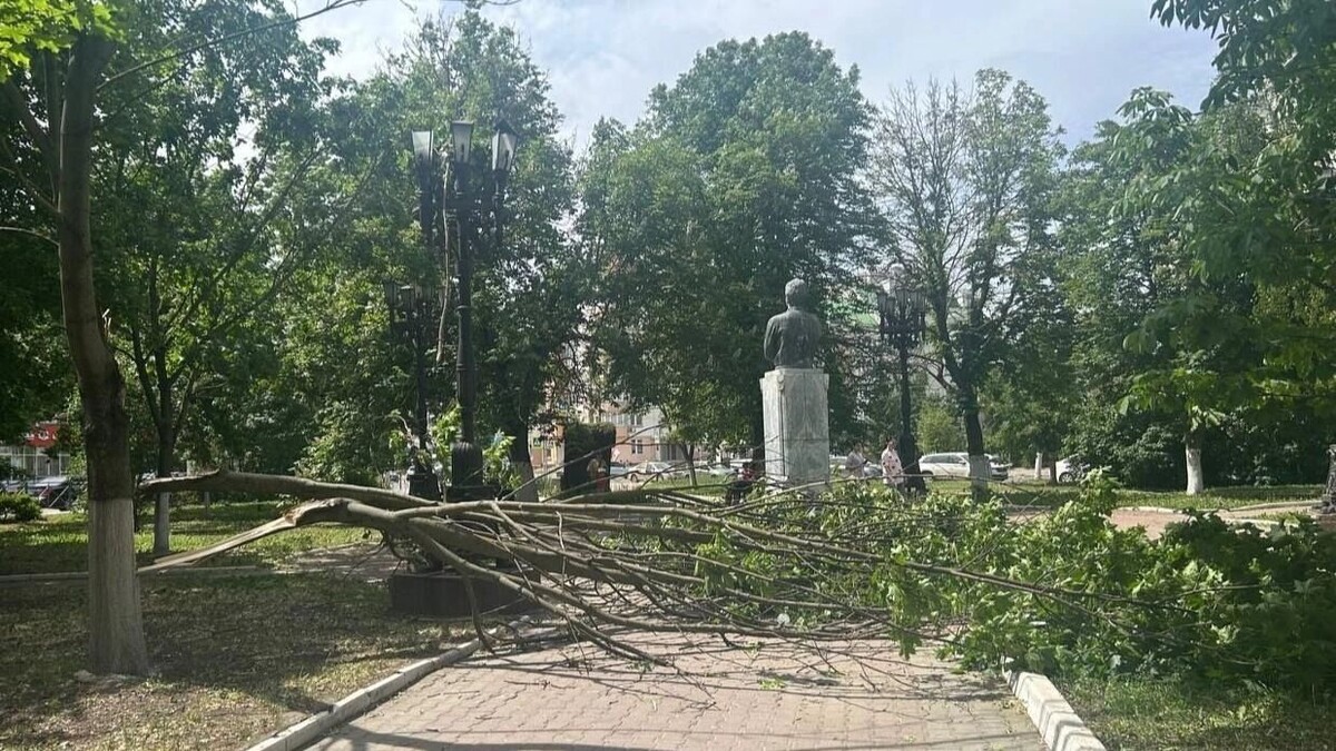     Источник: «Орловский вестник»