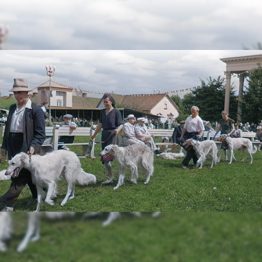 Источник фото: https://vk.com/wall-224289875_664