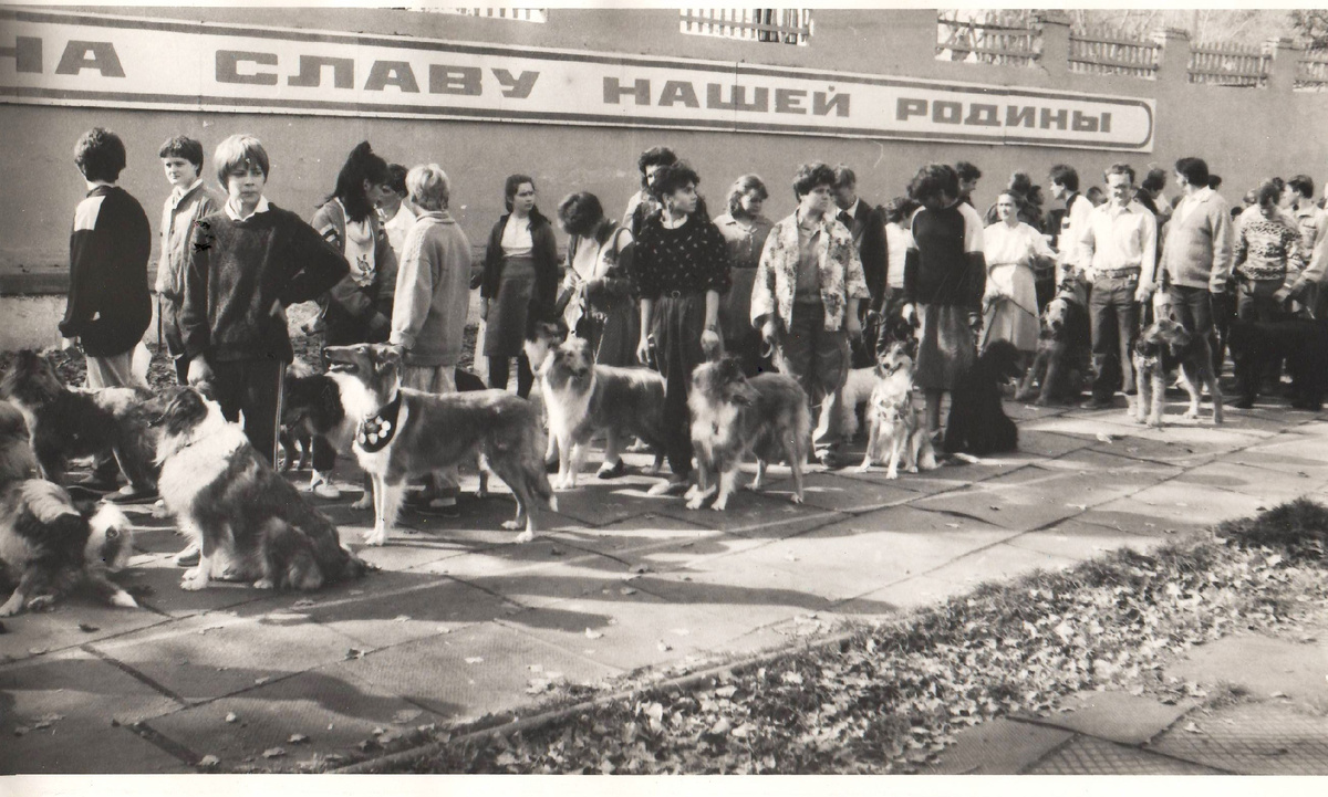 Источник фото: https://agkss.ru/архив-фото-история-клуба-в-фотография-3/