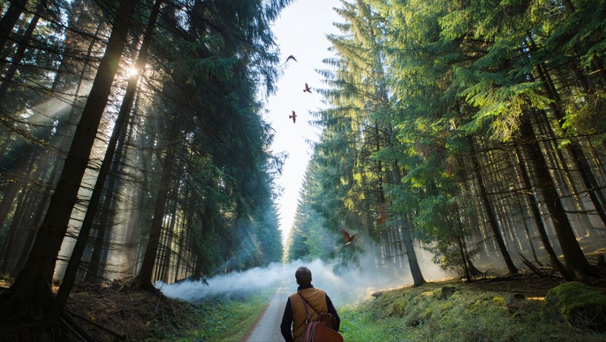 Все только начинается...