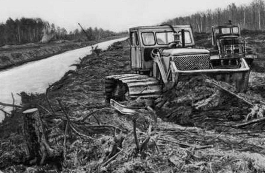    Фото: dic.academic.ru