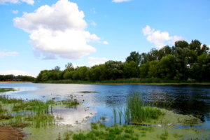    Фото: @НИА Экология