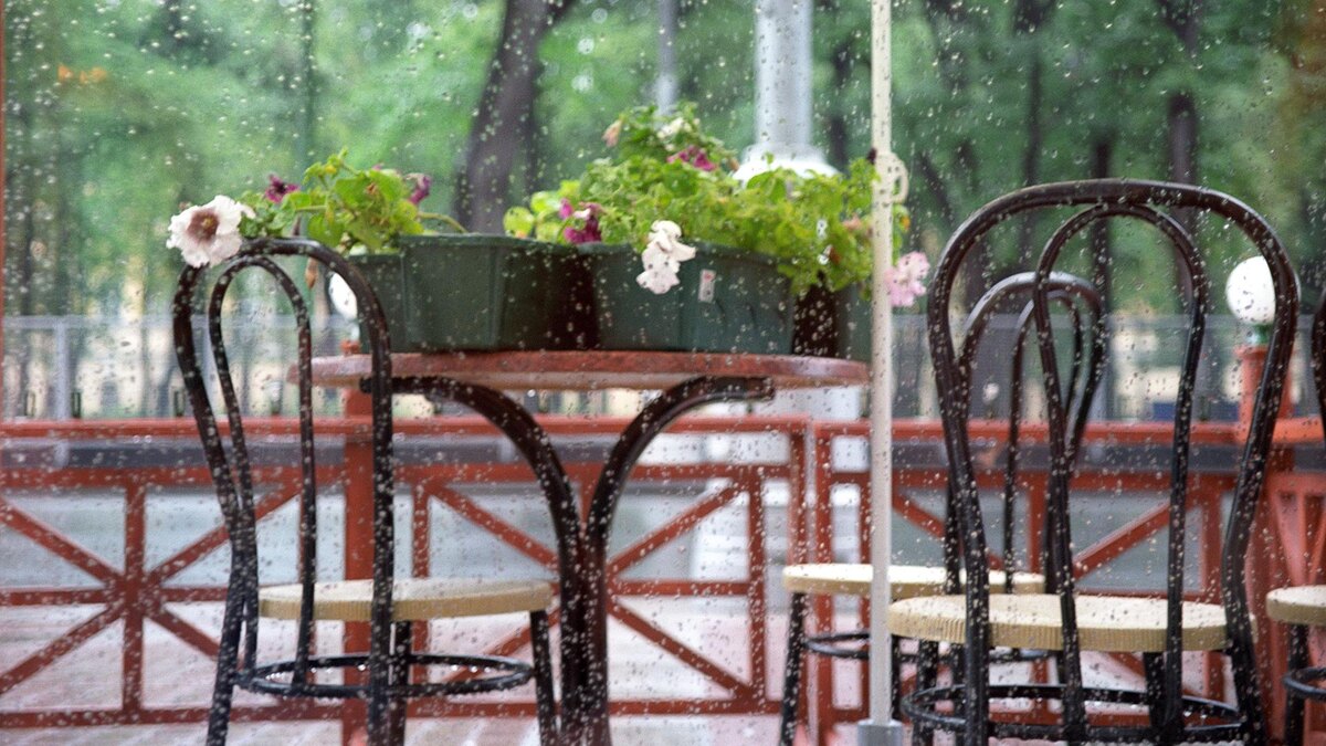    Фото: Daniil Ivanov/globallookpress.com