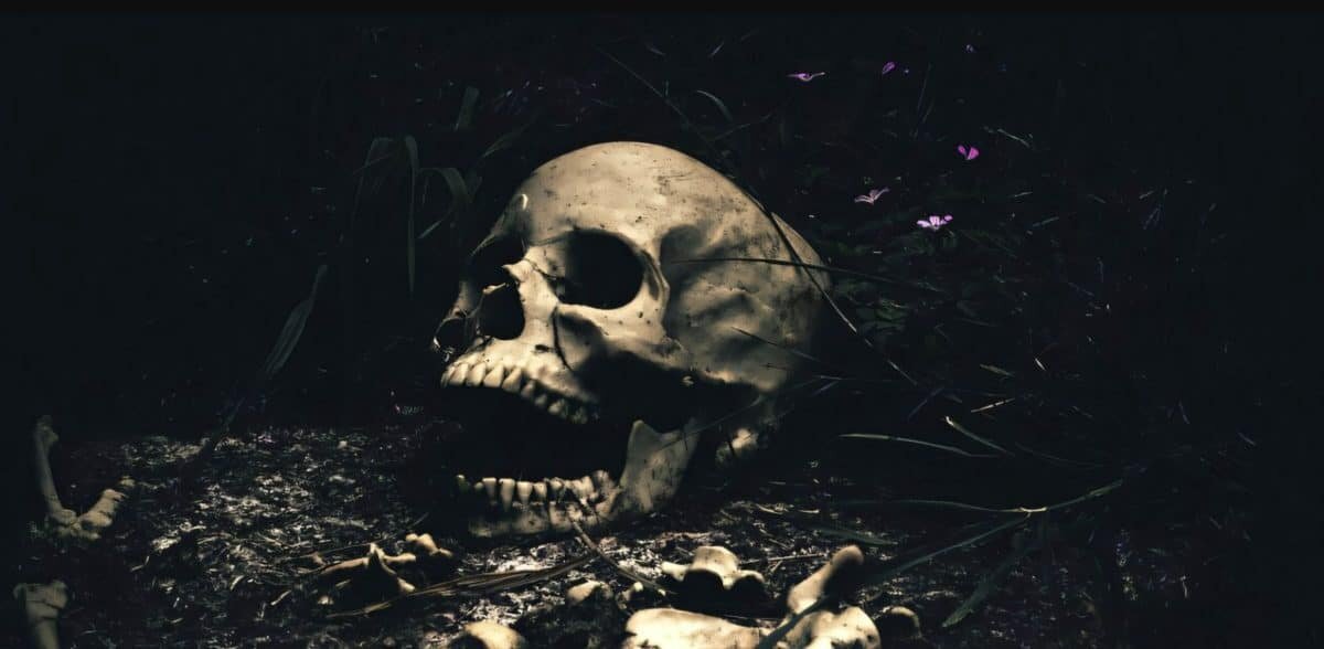    Археологи пересмотрели значение вторичных захоронений у древних майя / © Unsplash/CC0 Public Domain/phys.org