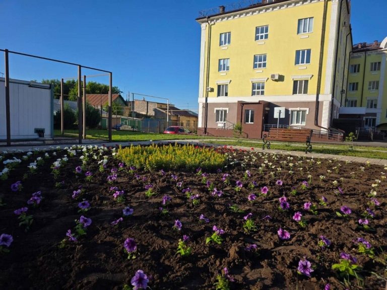    В Оренбурге «зацвели» медицинские учреждения  «О»