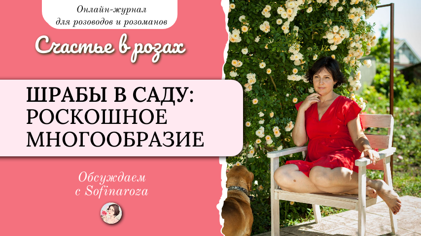«Счастье в розах», выпуск №27, 30 мая 2025г.