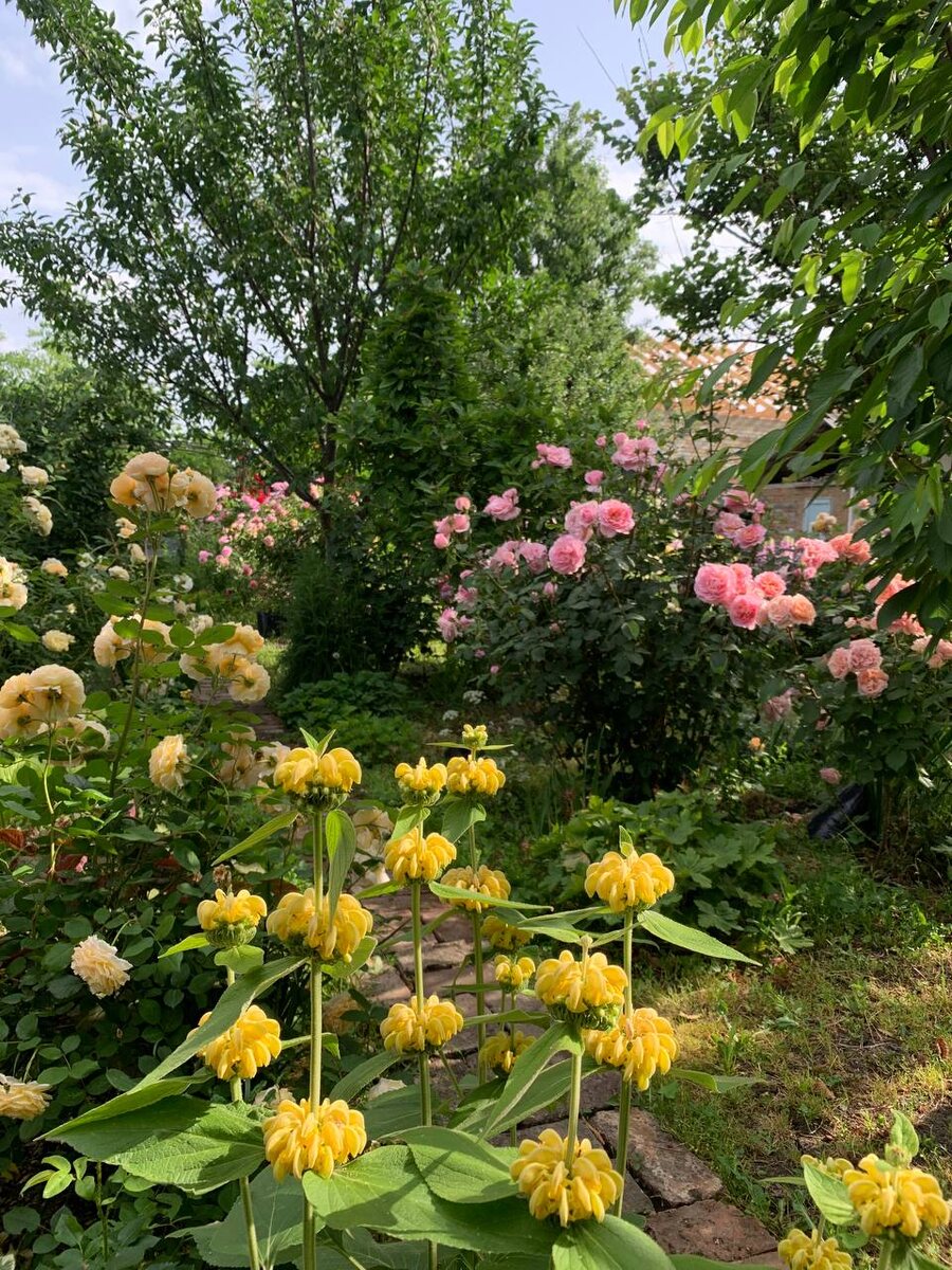 Стена из шрабов