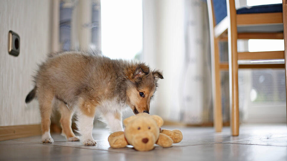 Фото: © www.globallookpress.com/H. Schmidt-Roeger/blickwinkel