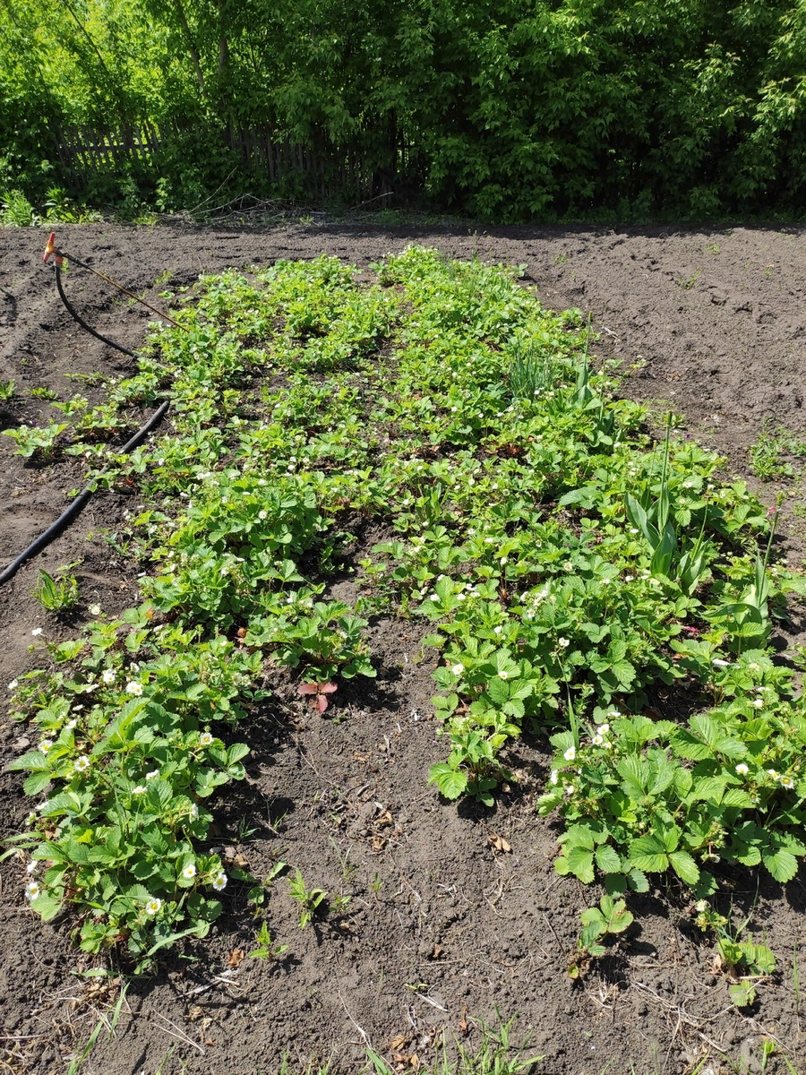 Участок номер 3