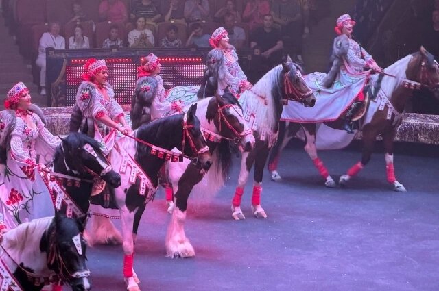    Фото: АиФ-Саратов