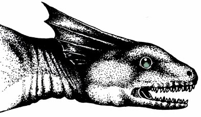 Изображение василиска в одном из журналов Dragon. Начало 1980-х