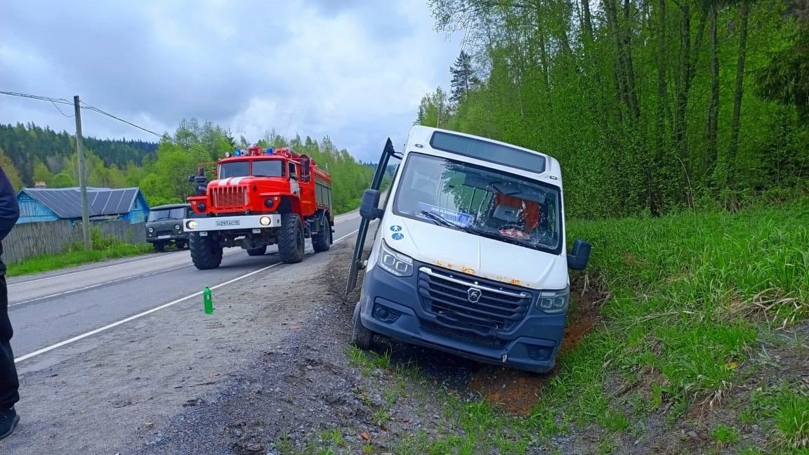    Фото: Госкомитет Карелии по безопасности / Telegram