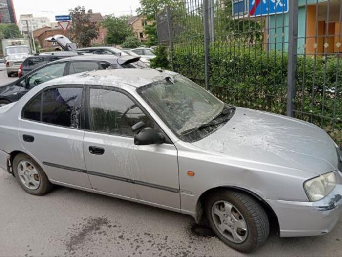 Источник фото: Тютина/telegram.com