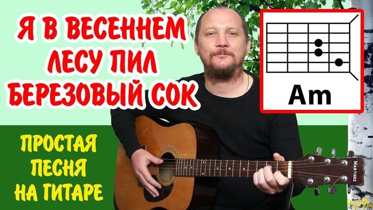 Я В ВЕСЕННЕМ ЛЕСУ ПИЛ БЕРЕЗОВЫЙ СОК (ВИДЕОРАЗБОР) ПРОСТАЯ ПЕСНЯ НА ГИТАРЕ (АККОРДЫ БЕЗ БАРРЭ + БОЙ) КАВЕР
