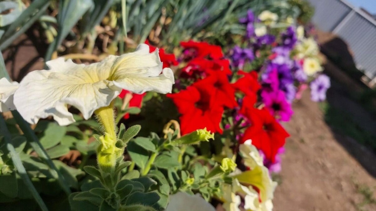     Источник: 56orb.ru