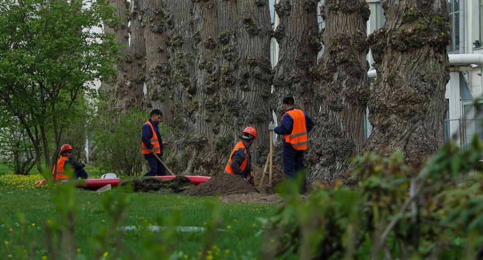    Shatokhina Natalia/news.ru / www.globallookpress.com