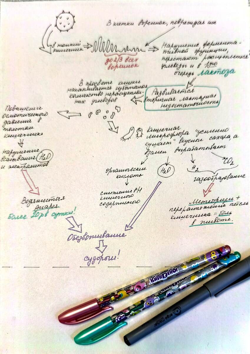 рисунок автора