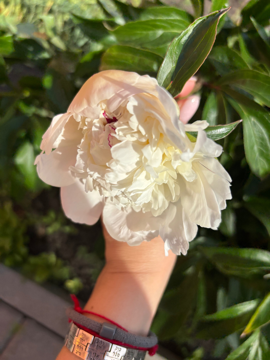 Описание в комментариях. Цивилизации не дают разместить статью в обычном режиме.