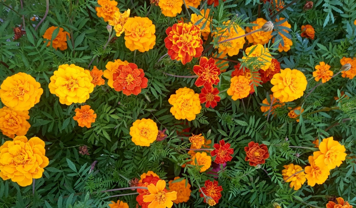    Фото: Unsplash.com