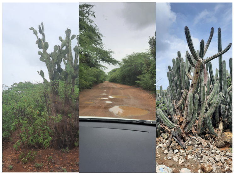 Здесь дорога еще ничего. фото автора