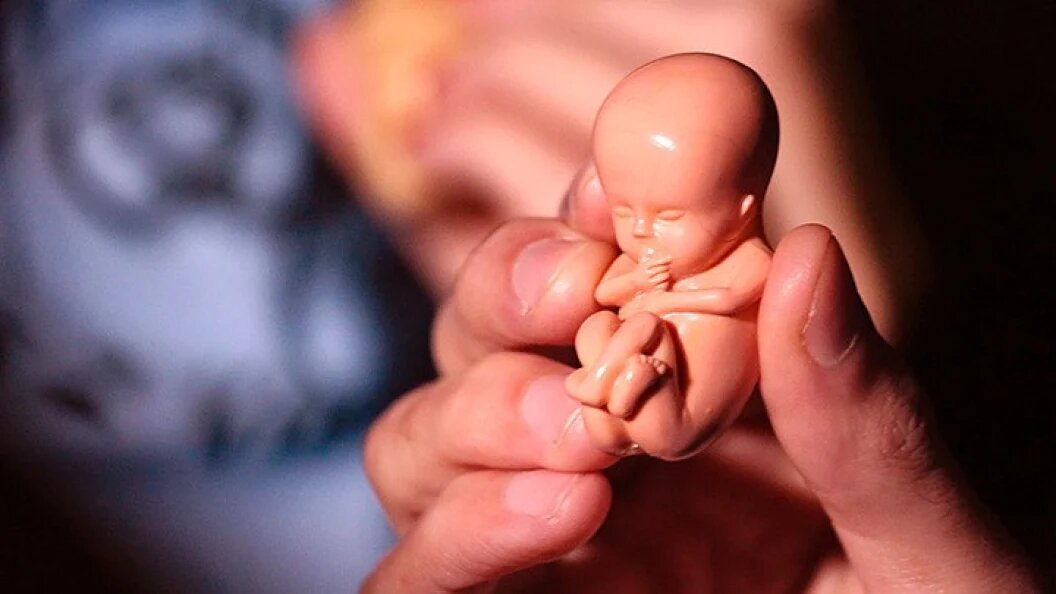    Фото: Gustavo Pantano / Shutterstock