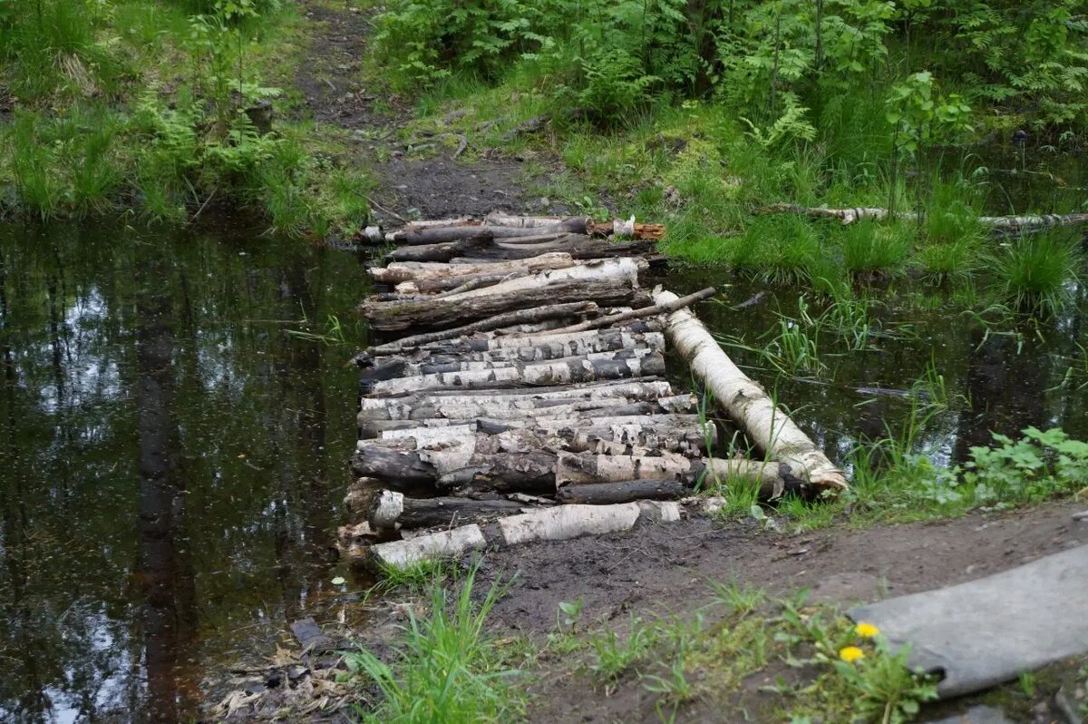    Изотовский сквер 30 мая 2025 года. Фото: читатель Мойки78